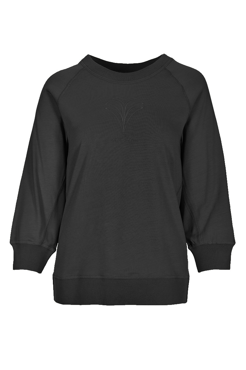 Raglanshirt
